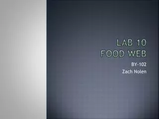 Lab 10 Food Web