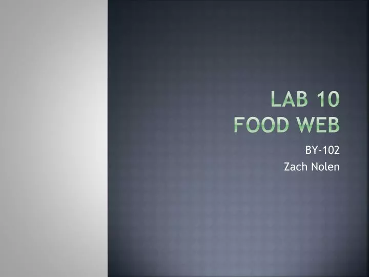 lab 10 food web