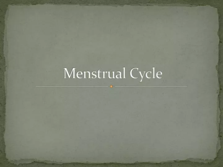 menstrual cycle