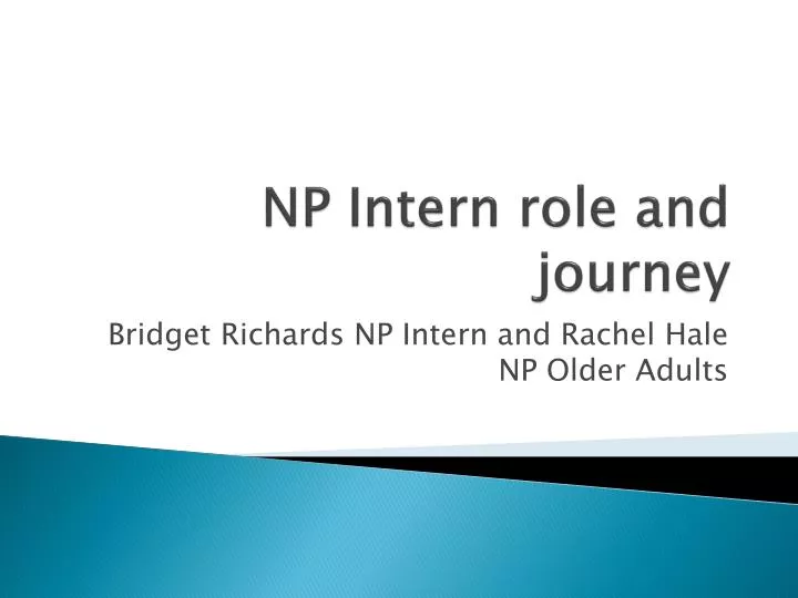 np intern role and journey