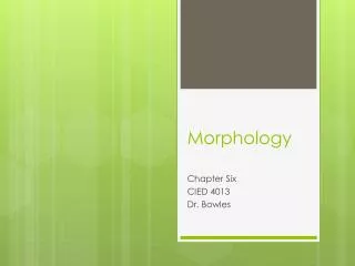 morphology