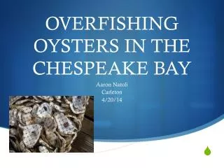 OVERFISHING OYSTERS IN THE CHESPEAKE BAY