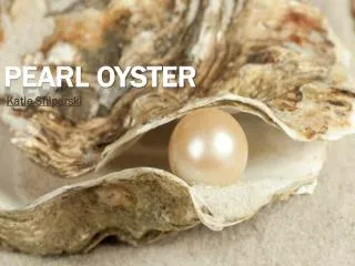 Pearl Oyster