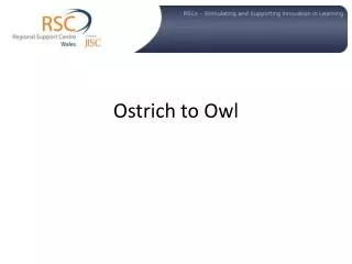 Ostrich to Owl