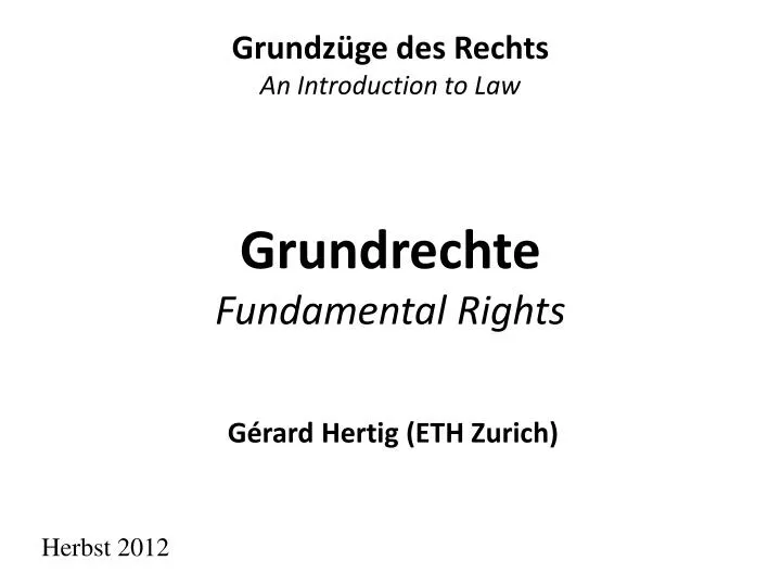 grundrechte fundamental rights