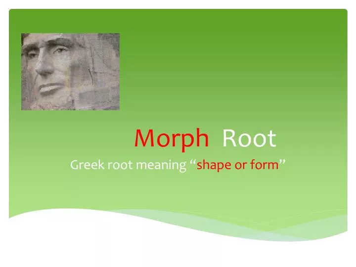 morph root