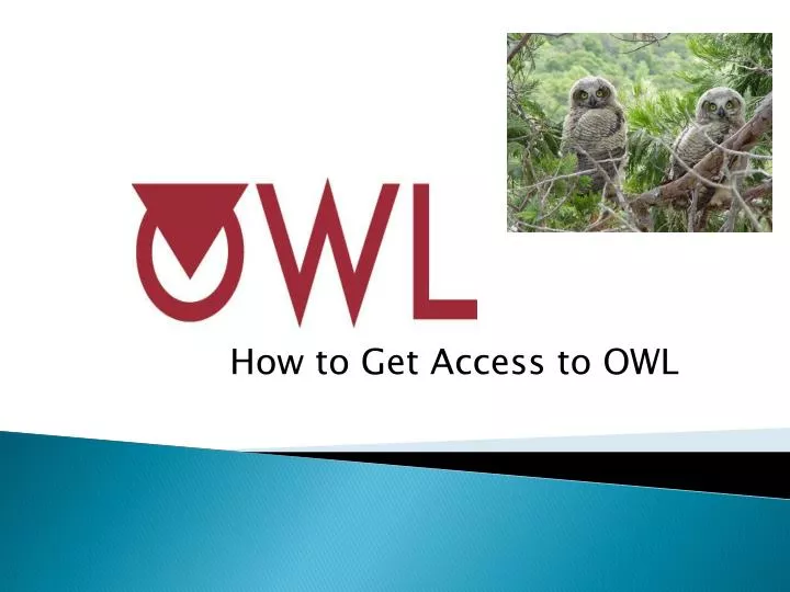 how to get access to owl
