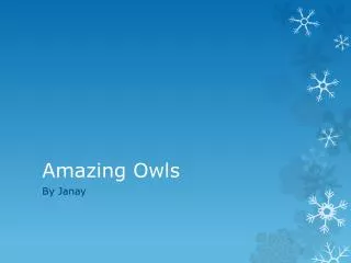 Amazing Owls