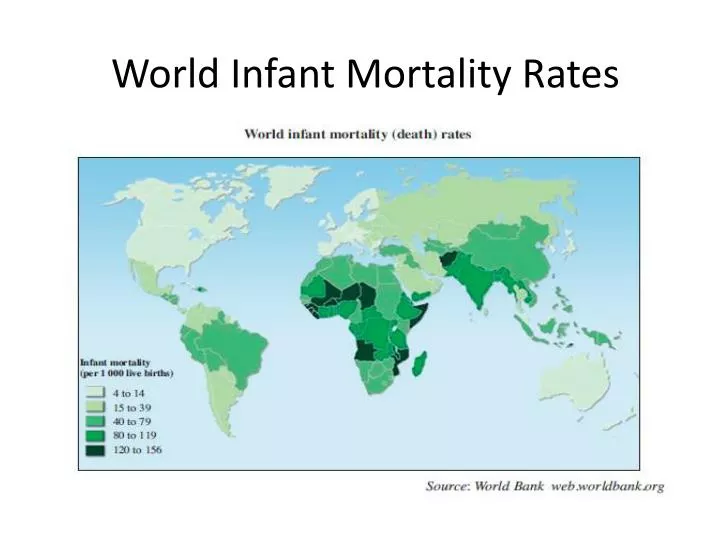 world infant mortality rates