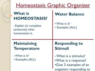 Homeostasis Graphic Organizer