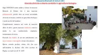 Masseria Brancati di Ostuni (Br) Azienda olivicola e olearia condotta in agricoltura biologica