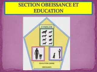 section obeissance et education