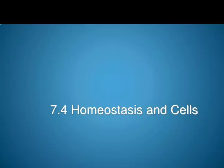 7 4 homeostasis and cells