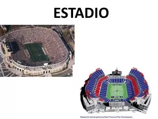 estadio