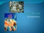 Coral Reefs - slide 1