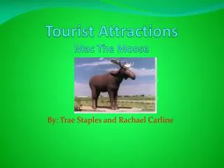 Tourist Attractions Mac The Moose
