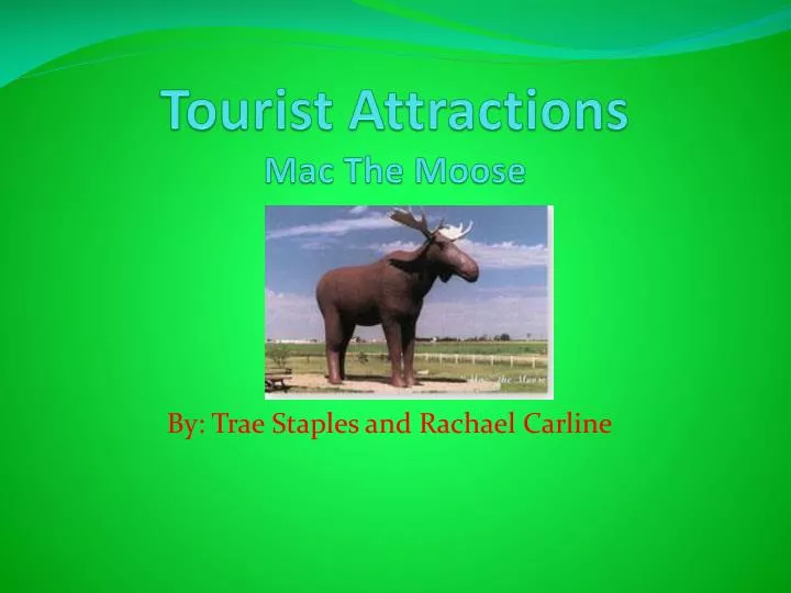 tourist attractions mac the moose