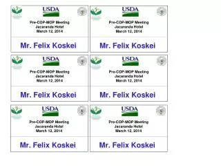 Mr. Felix Koskei