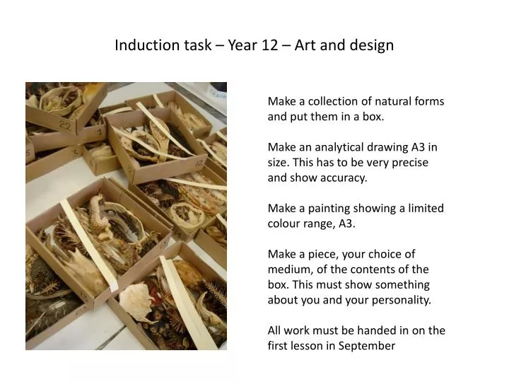 induction task y ear 12 art and design