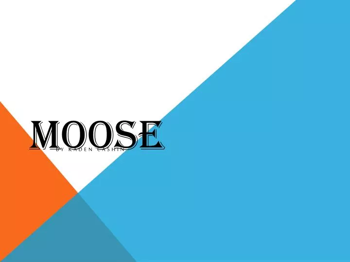 m oose