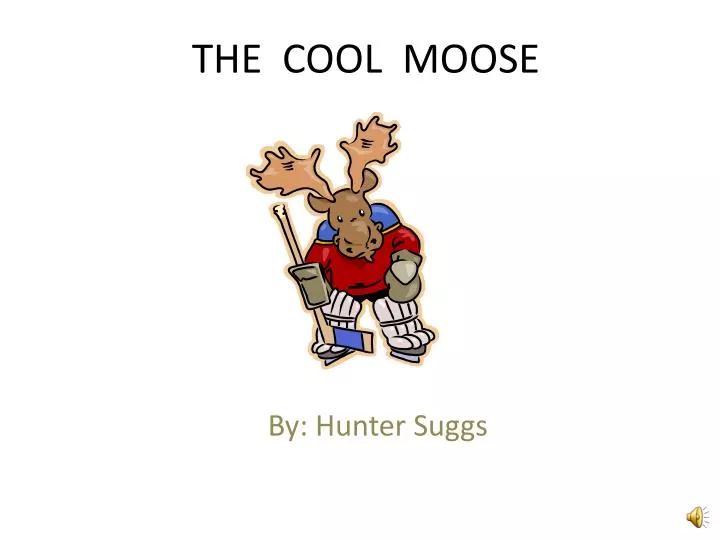 the cool moose