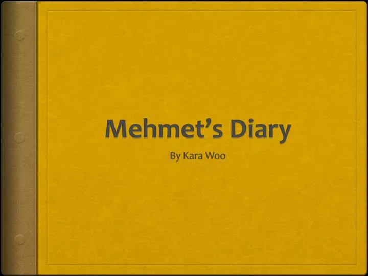 mehmet s diary