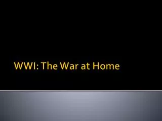 WWI: The War at Home