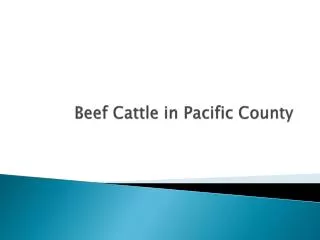 Beef Cattle in Pacific County