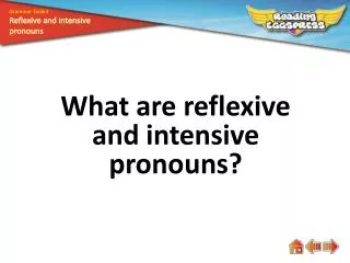 What are reflexive and intensive pronouns?