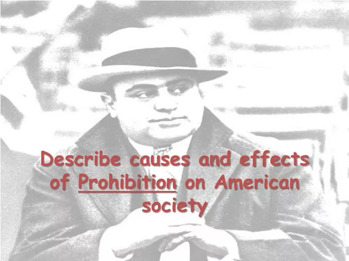 describe causes and effects of prohibition on american society