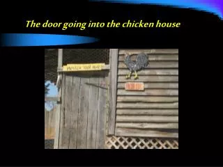 the door going into the chicken house