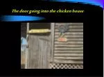 The door going into the chicken house