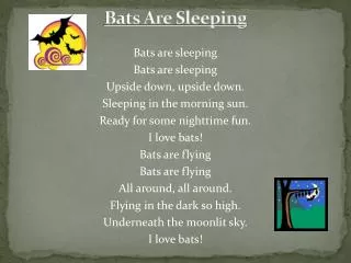 Bats Are Sleeping