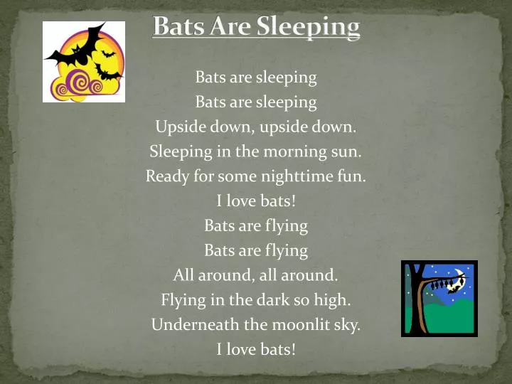 bats are sleeping