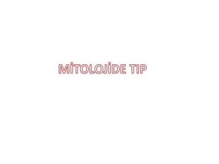 m toloj de tip