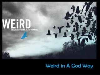 Weird in A God Way