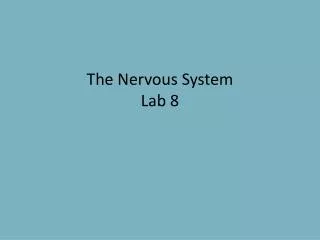 The Nervous System Lab 8