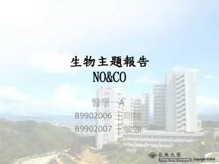 no co
