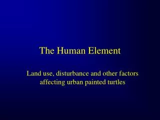 the human element