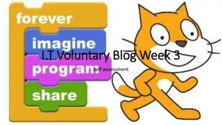 I.T Voluntary Blog Week 3
