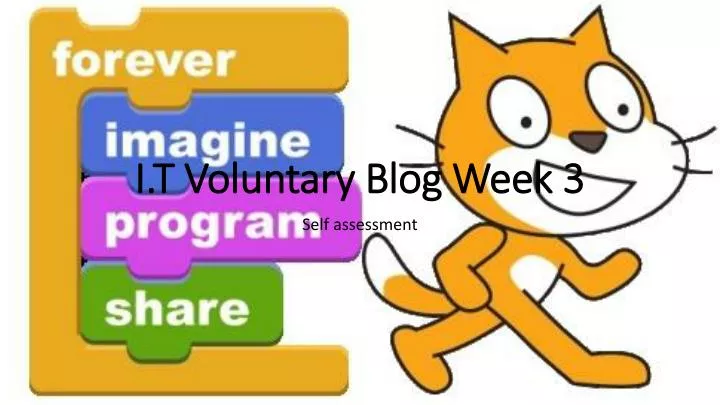 i t voluntary blog week 3