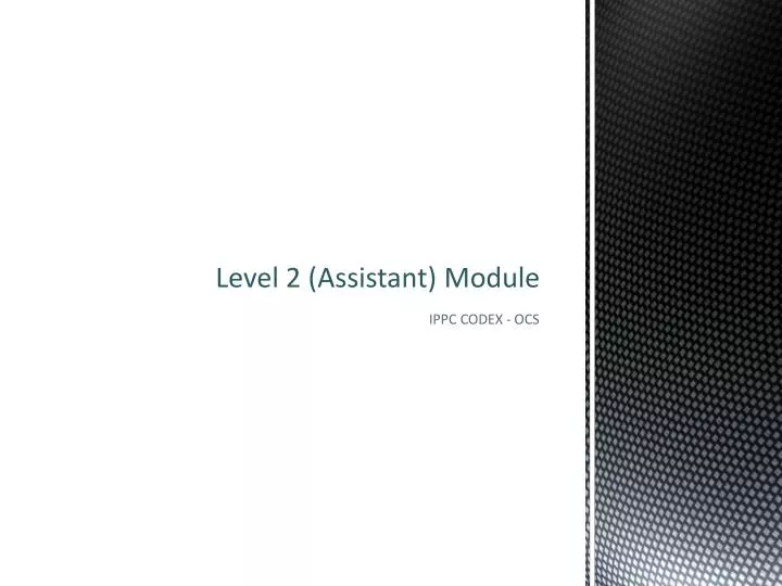 level 2 assistant module