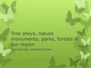 Tree alleys , nature monuments , parks , forests in our region