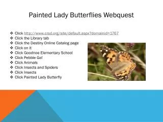 Painted Lady Butterflies Webquest