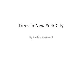 Trees in New York City