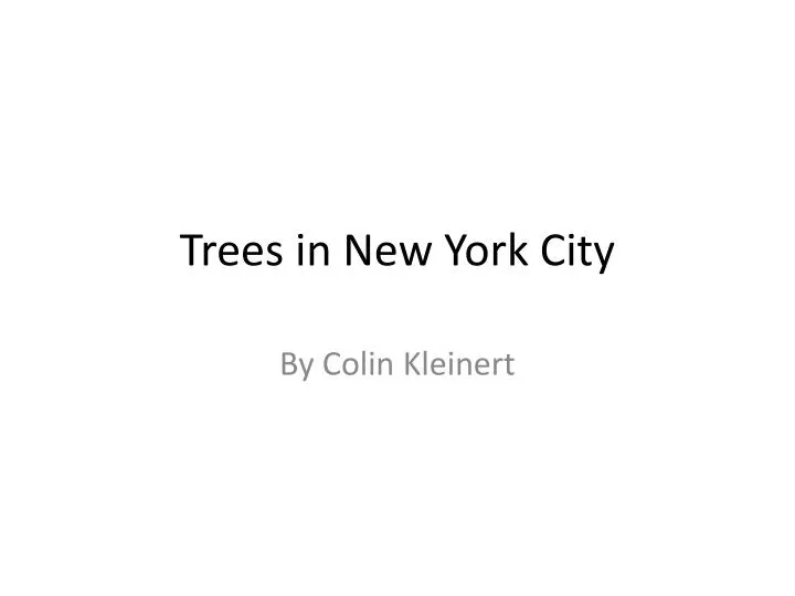 trees in new york city
