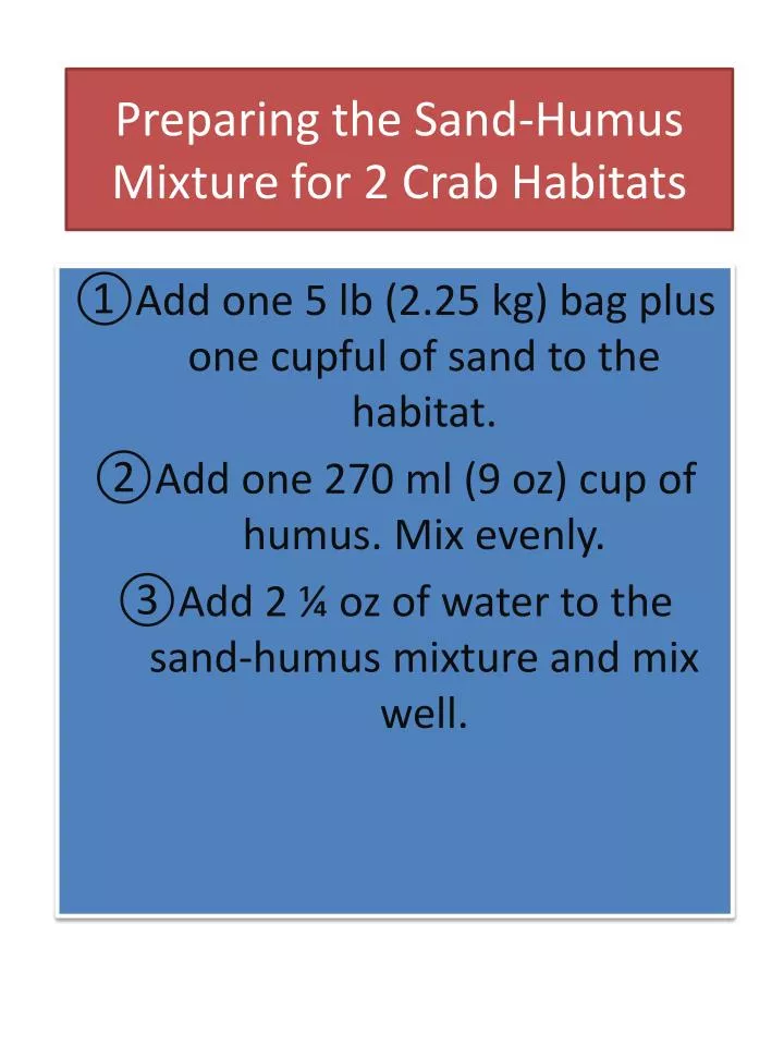 preparing the sand humus mixture for 2 crab habitats