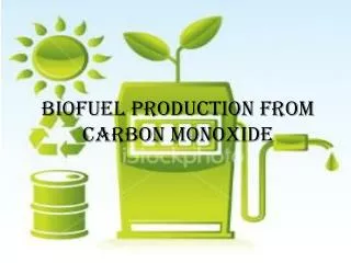 Biofuel Production from Carbon monoxide