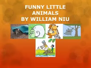 Funny Little Animals by william niu