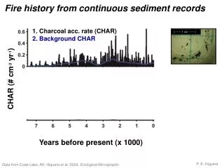 Fire history from continuous sediment records